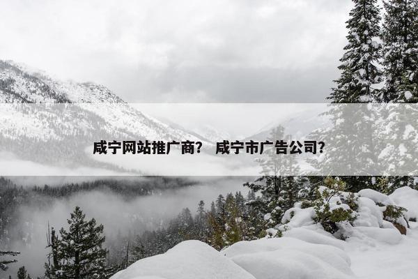 咸宁网站推广商？ 咸宁市广告公司？
