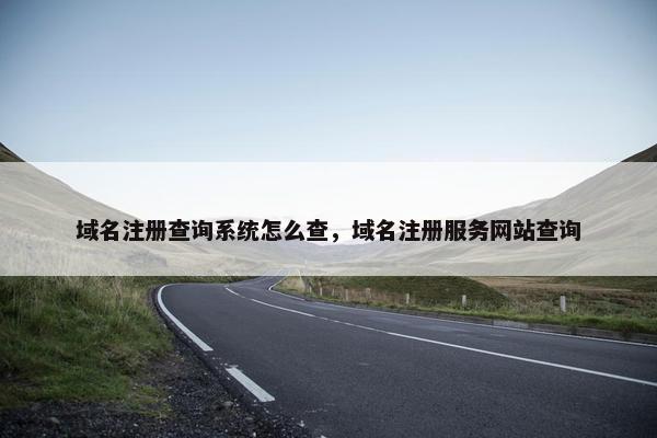 域名注册查询系统怎么查，域名注册服务网站查询