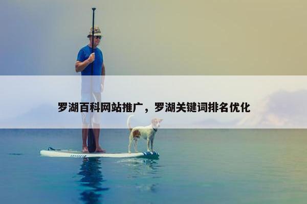 罗湖百科网站推广，罗湖关键词排名优化