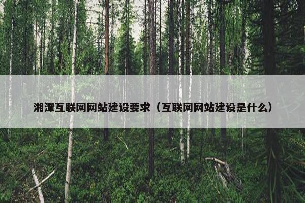湘潭互联网网站建设要求（互联网网站建设是什么）