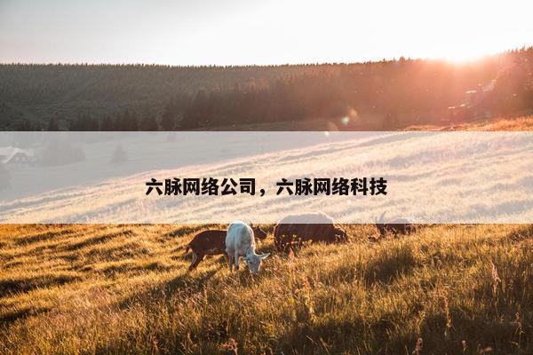 六脉网络公司，六脉网络科技