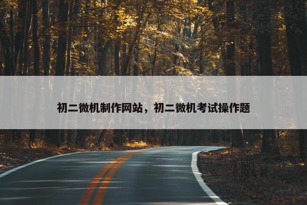初二微机制作网站，初二微机考试操作题