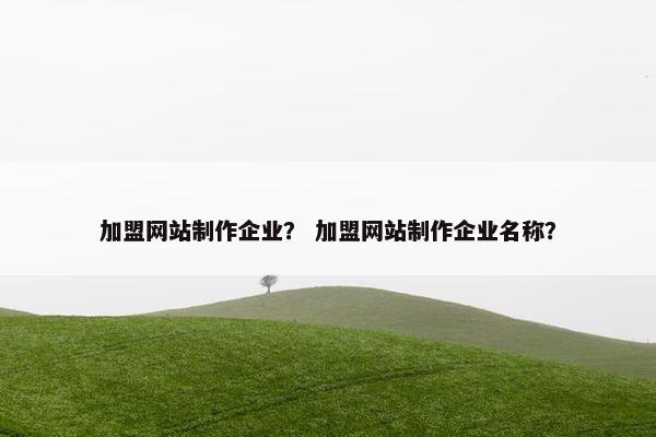 加盟网站制作企业？ 加盟网站制作企业名称？