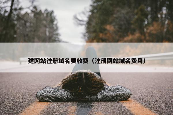 建网站注册域名要收费（注册网站域名费用）