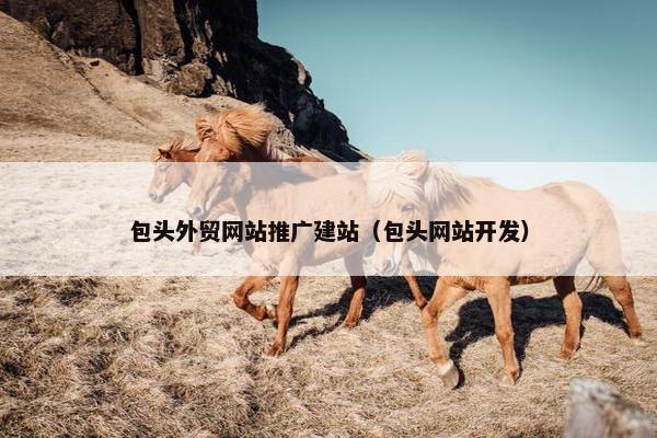 包头外贸网站推广建站（包头网站开发）