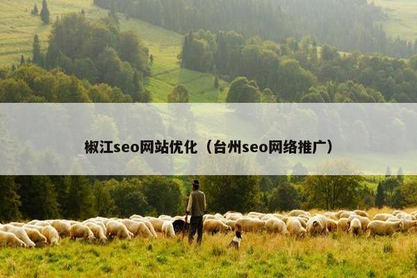 椒江seo网站优化（台州seo网络推广）