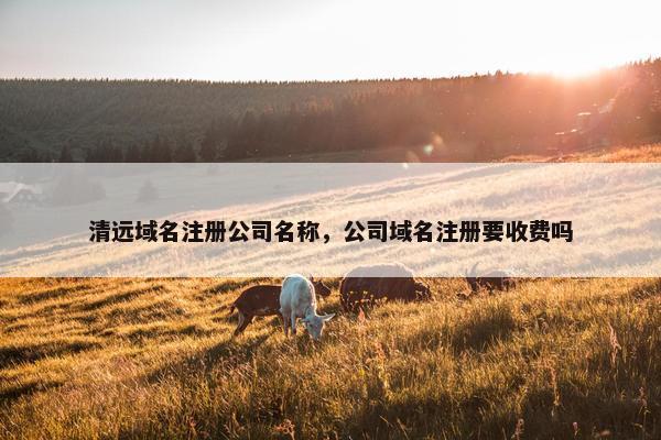 清远域名注册公司名称，公司域名注册要收费吗