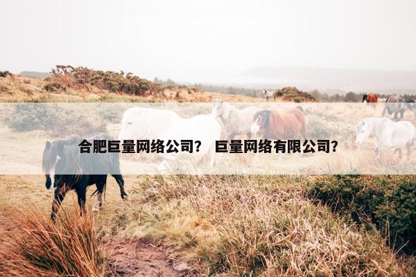 合肥巨量网络公司？ 巨量网络有限公司？