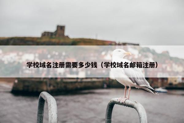 学校域名注册需要多少钱（学校域名邮箱注册）