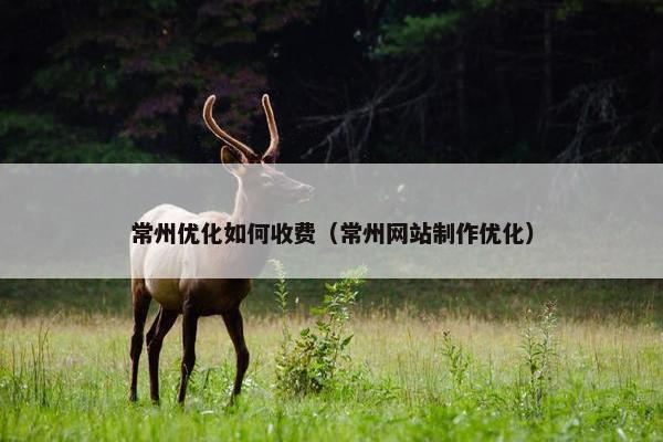 常州优化如何收费（常州网站制作优化）