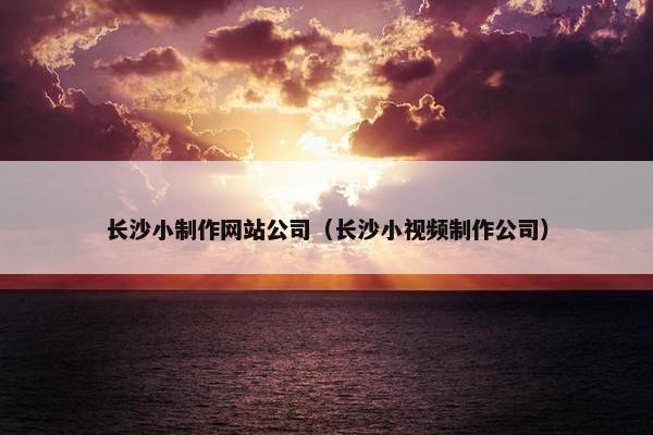 长沙小制作网站公司（长沙小视频制作公司）