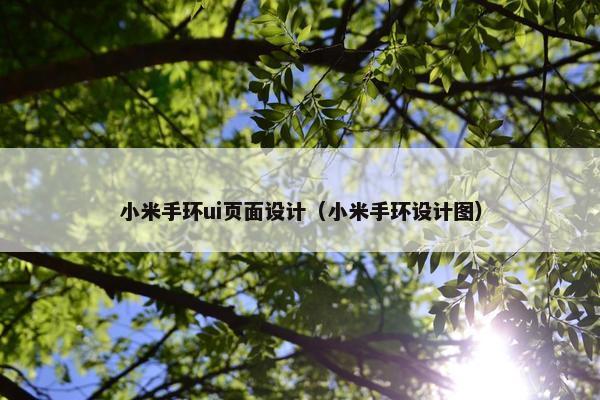 小米手环ui页面设计（小米手环设计图）