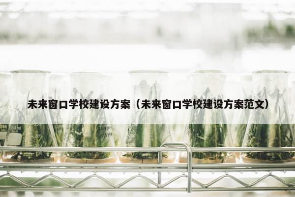 未来窗口学校建设方案（未来窗口学校建设方案范文）