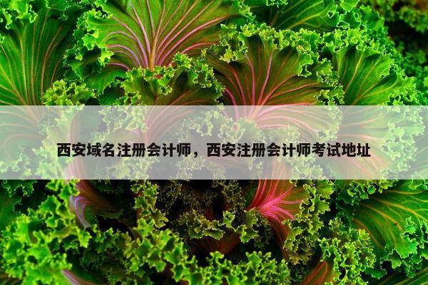 西安域名注册会计师，西安注册会计师考试地址