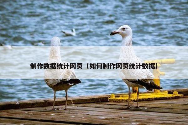 制作数据统计网页（如何制作网页统计数据）