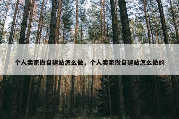个人卖家做自建站怎么做，个人卖家做自建站怎么做的