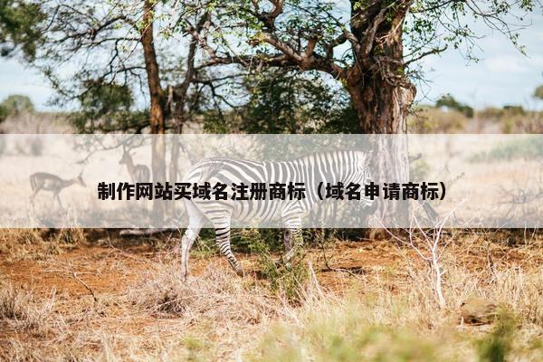 制作网站买域名注册商标（域名申请商标）