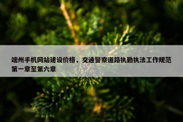 端州手机网站建设价格，交通警察道路执勤执法工作规范第一章至第六章