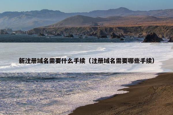 新注册域名需要什么手续（注册域名需要哪些手续）