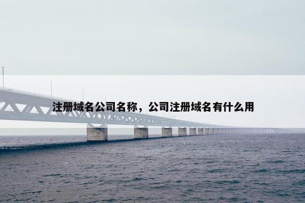 注册域名公司名称，公司注册域名有什么用
