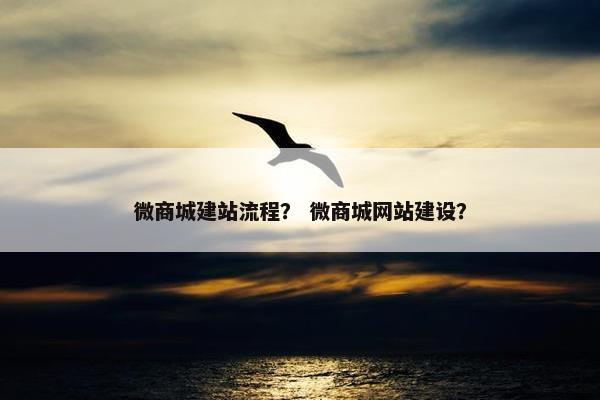微商城建站流程？ 微商城网站建设？