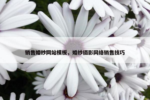 销售婚纱网站模板，婚纱摄影网络销售技巧