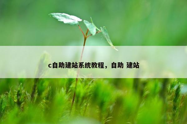 c自助建站系统教程，自助 建站
