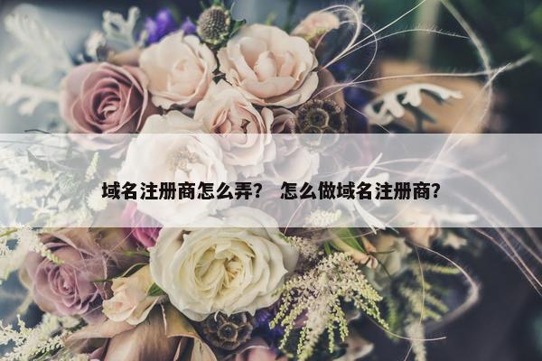 域名注册商怎么弄？ 怎么做域名注册商？