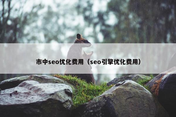 市中seo优化费用（seo引擎优化费用）