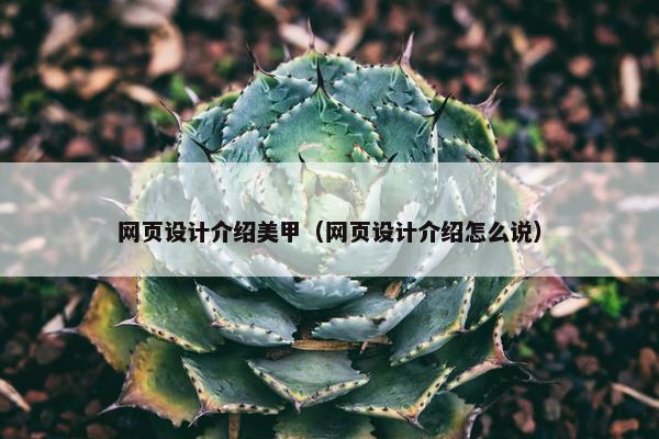 网页设计介绍美甲（网页设计介绍怎么说）