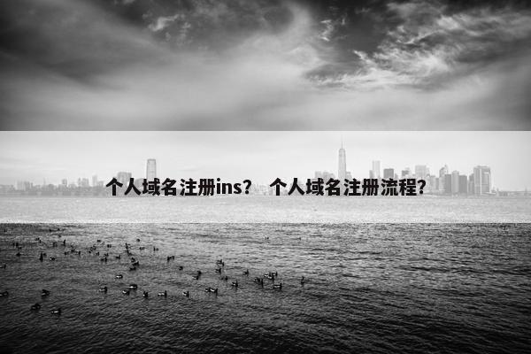 个人域名注册ins？ 个人域名注册流程？
