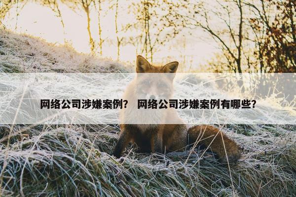 网络公司涉嫌案例？ 网络公司涉嫌案例有哪些？