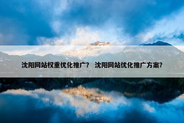 沈阳网站权重优化推广？ 沈阳网站优化推广方案？