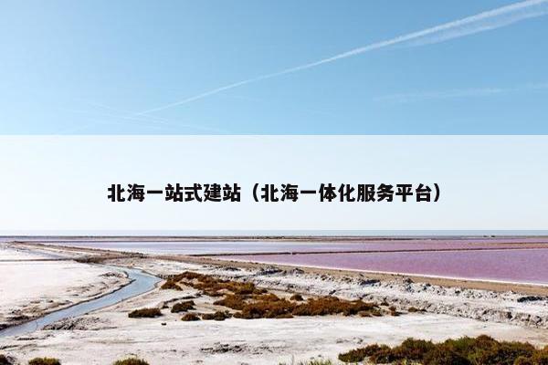 北海一站式建站（北海一体化服务平台）