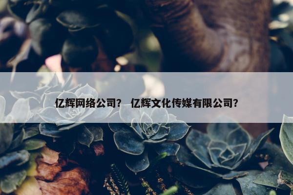 亿辉网络公司？ 亿辉文化传媒有限公司？