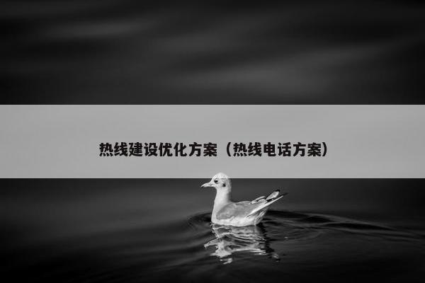 热线建设优化方案（热线电话方案）