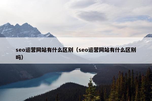 seo运营网站有什么区别（seo运营网站有什么区别吗）