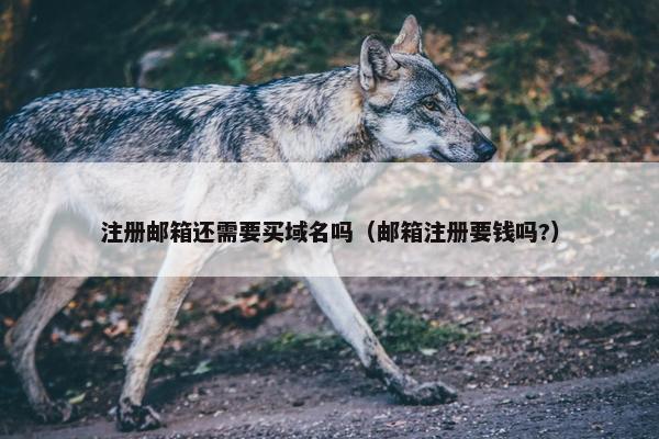 注册邮箱还需要买域名吗（邮箱注册要钱吗?）