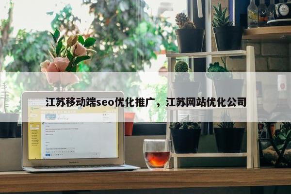 江苏移动端seo优化推广，江苏网站优化公司