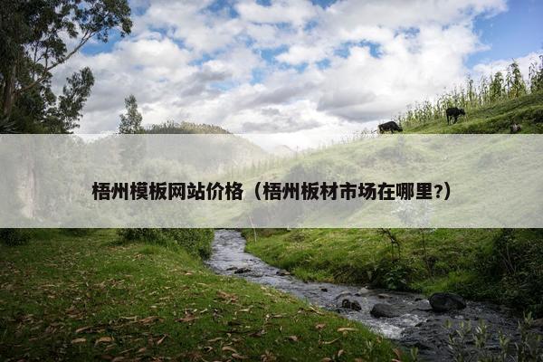 梧州模板网站价格（梧州板材市场在哪里?）
