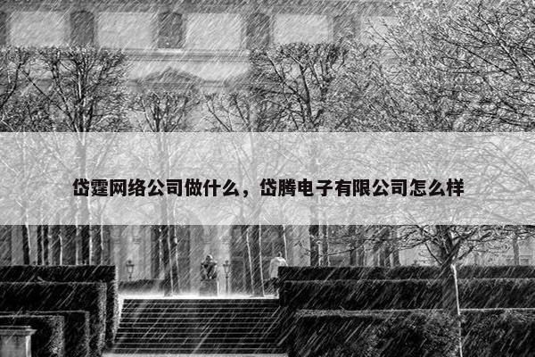 岱霆网络公司做什么，岱腾电子有限公司怎么样
