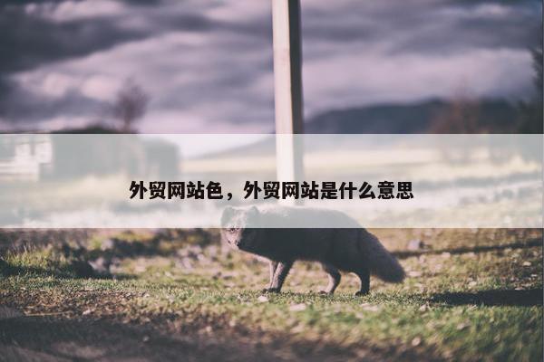 外贸网站色，外贸网站是什么意思