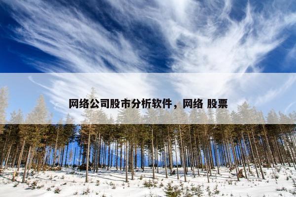 网络公司股市分析软件，网络 股票