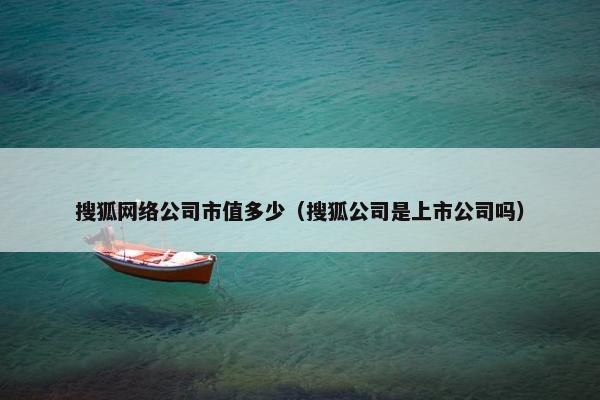 搜狐网络公司市值多少（搜狐公司是上市公司吗）