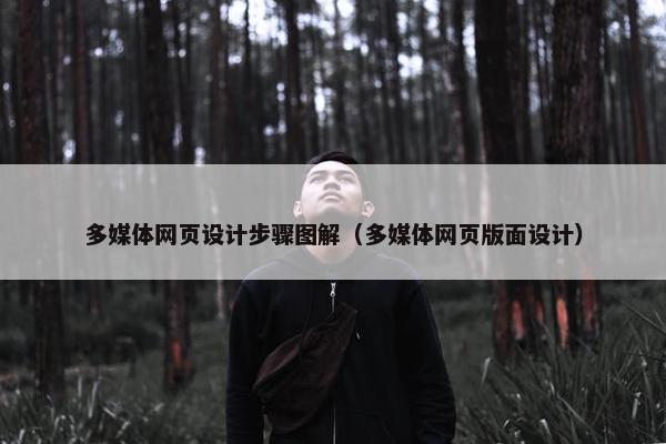 多媒体网页设计步骤图解（多媒体网页版面设计）