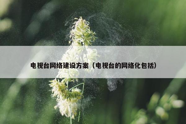 电视台网络建设方案（电视台的网络化包括）