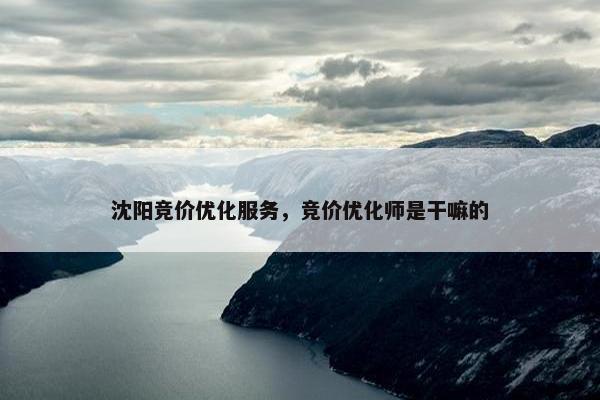 沈阳竞价优化服务，竞价优化师是干嘛的