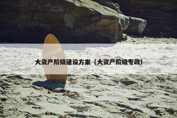 大资产阶级建设方案（大资产阶级专政）
