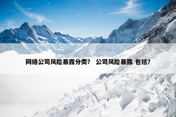 网络公司风险暴露分类？ 公司风险暴露 包括？