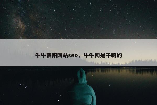 牛牛襄阳网站seo，牛牛网是干嘛的